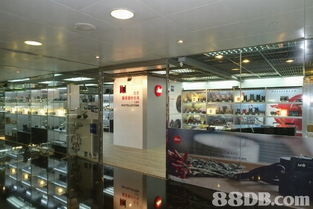 全方位攝影服務指南 從婚紗到家庭，捕捉每個珍貴瞬間